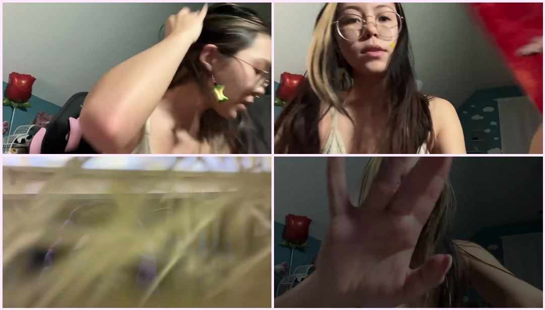 ASMR |真正积极且快速的 Lofi 触发器：使用 @Mental ASMR 销毁物品 Tiptwo ASMR视频